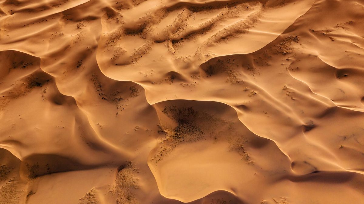 Las dunas de Khongoryn Els: el desierto que canta