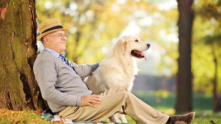 Las mascotas ayudan a superar el &quot;síndrome del nido vacío&quot;