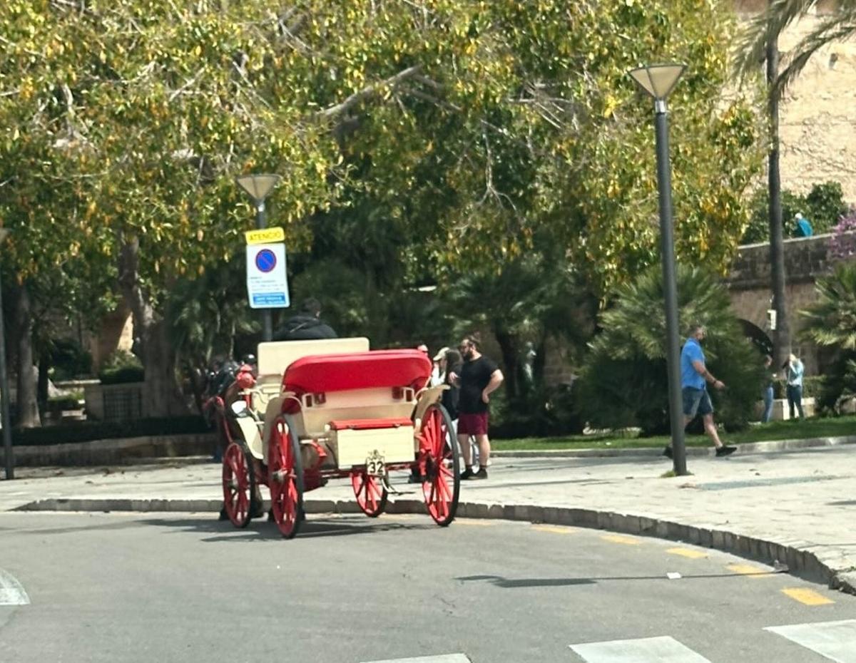 Imagen de Progreso en verde que muestra una calesa estacionada en un lugar no permitido.