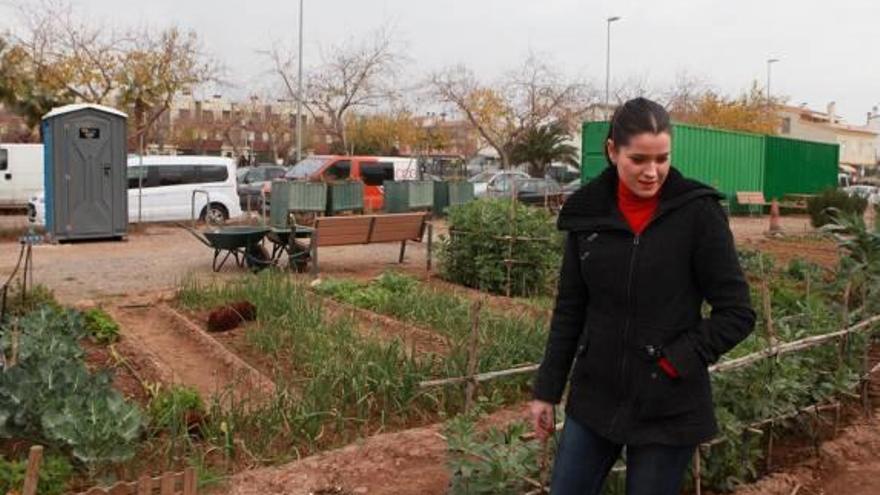 Más sombras y sanitarios portátiles en los huertos urbanos