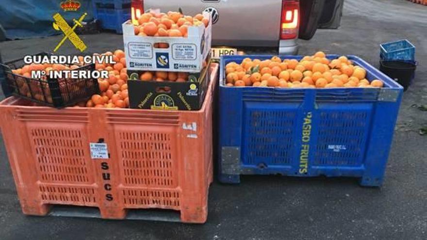 Cajas de la naranjas cuya procedencia no se ha podido acreditar.