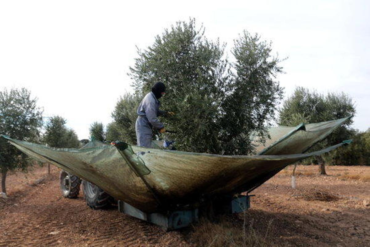 Unió de Pagesos demana treballar amb "normalitat" mentre durin les restriccions