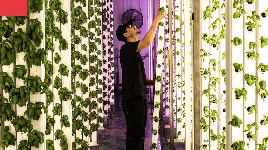 Groots, la ‘foodtech’ catalana que conquereix els supermercats