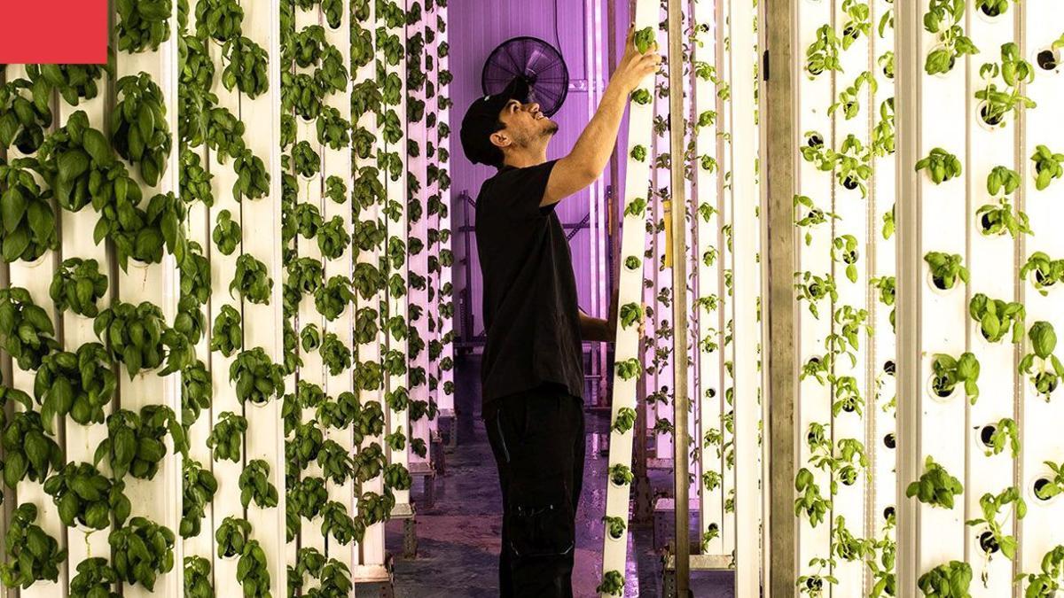 Groots, la ‘foodtech’ catalana que conquereix els supermercats