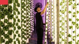 Groots, la ‘foodtech’ catalana que conquereix els supermercats