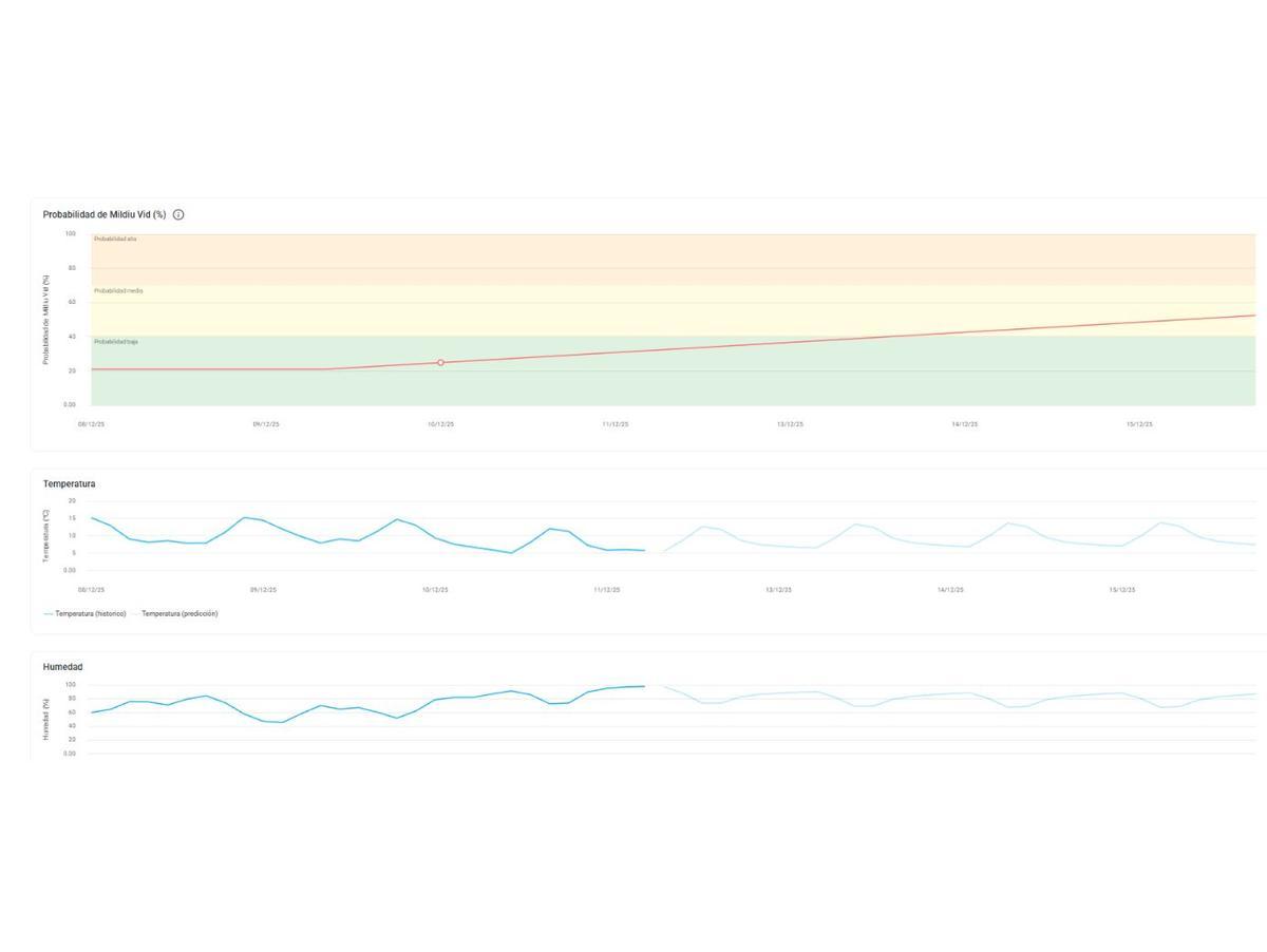 El gráfico, señala la evolución de temperatura y humedad y el progresivo aumento de riesgo de Mildiu en la vid).