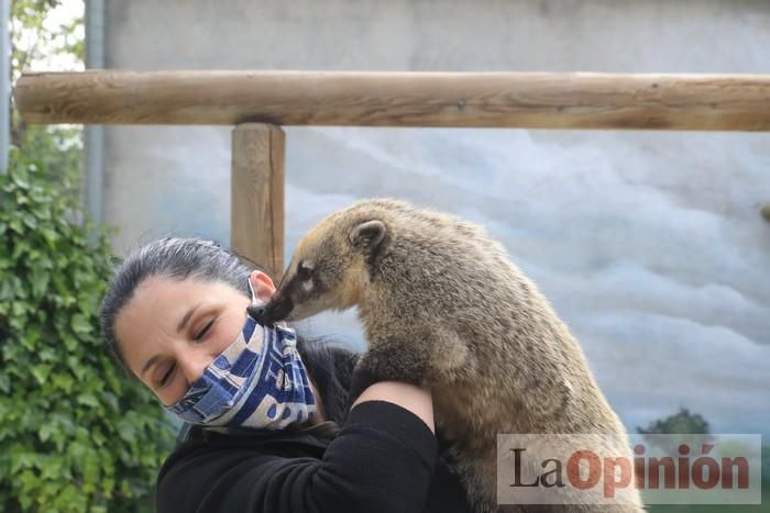 Las Águilas del Sol de Puerto Lumbreras piden ayud