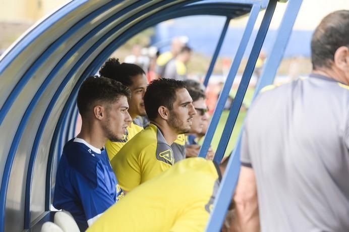 PARTIDILLO UDLP- UDLP C