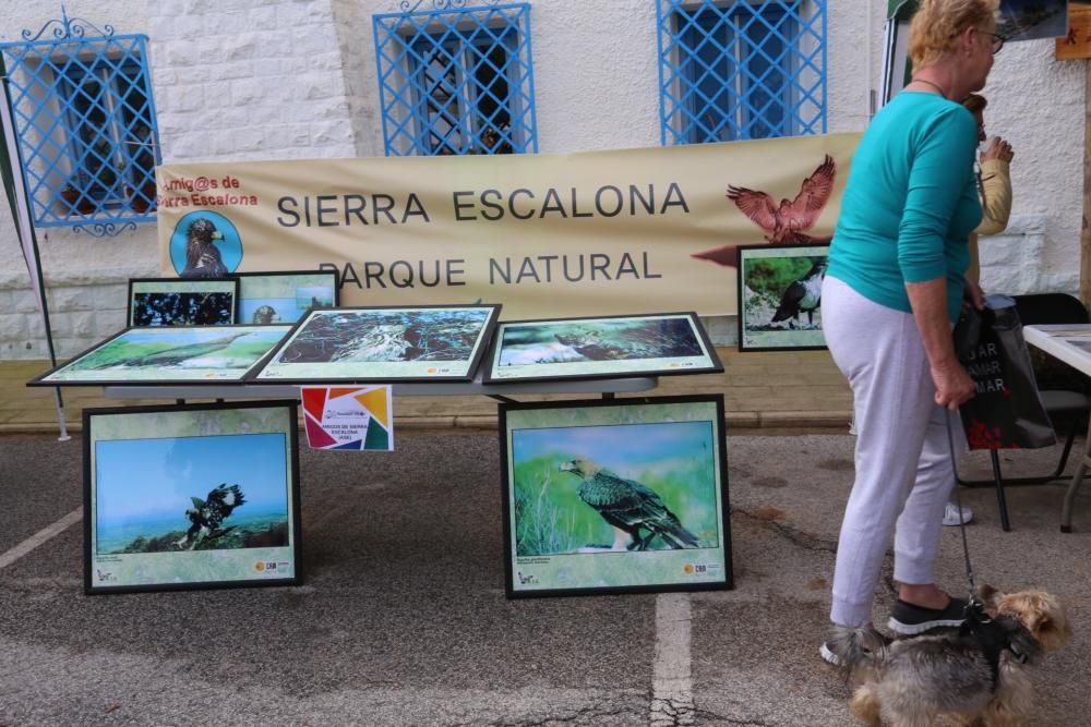 Aniversario parque natural Torrevieja