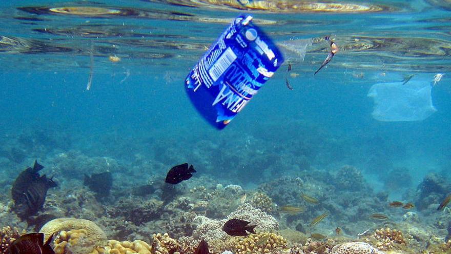 En 2050 habría más cantidad de plásticos que de peces.