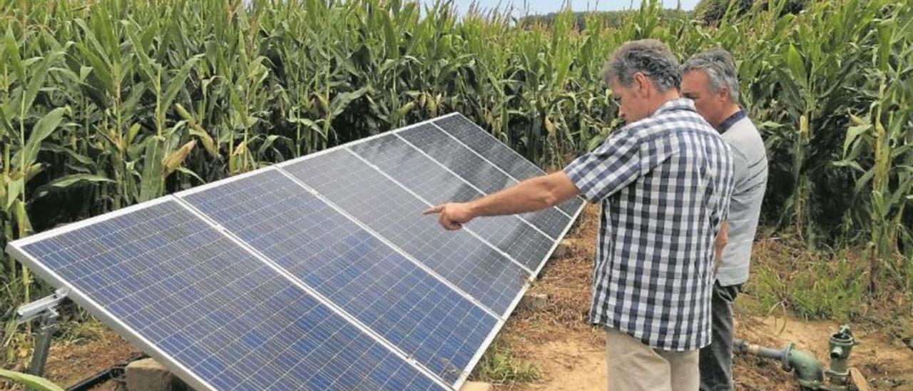 Un dels camps del Baix Empordà que es reguen utilitzant l’energia fotovoltaica.  | FRANCESC BENEJAM