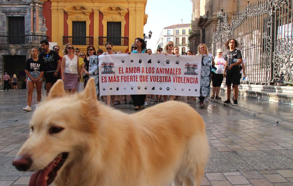 Centenares de personas se unen en Málaga contra la tauromaquia