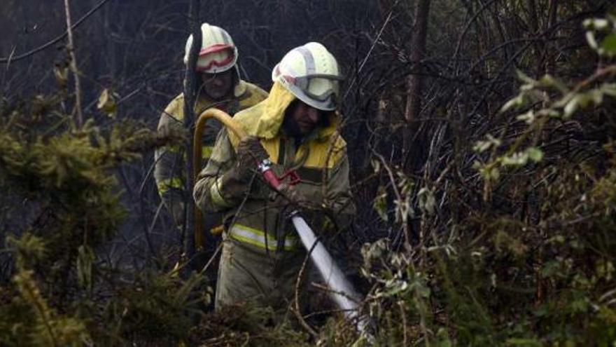 Brigadistas controlan el incendio en Cartelle (Ourense).  // Brais Lorenzo