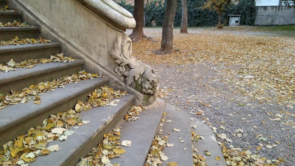 Silenci. El temps de tardor despulla els arbres i vesteix els jardins de silenci i espurnes d’esperança.