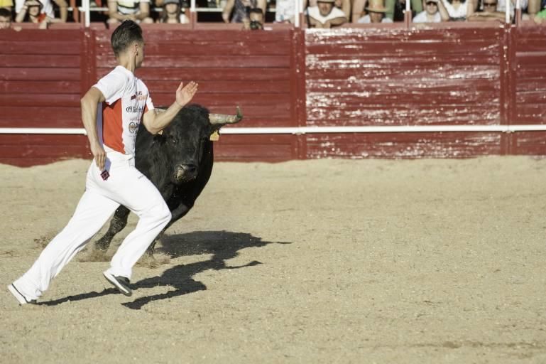 Concurso de cortes en la Plaza de Toros de Benaven