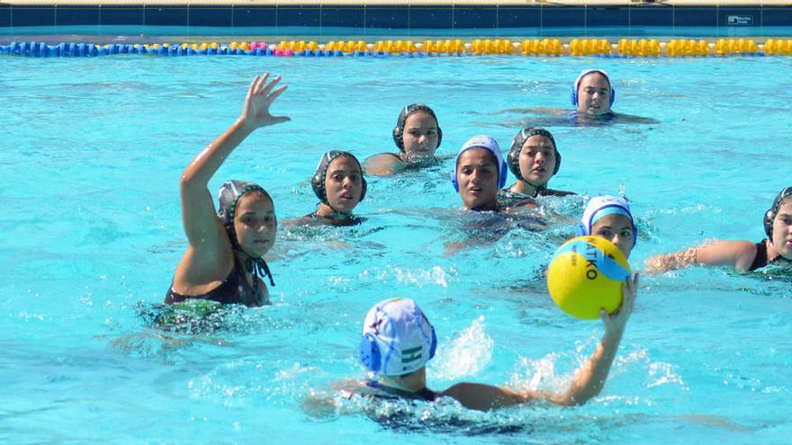 Inacua Málaga acogió el torneo, que terminó con el triunfo del Waterpolo Dos Hermanas.