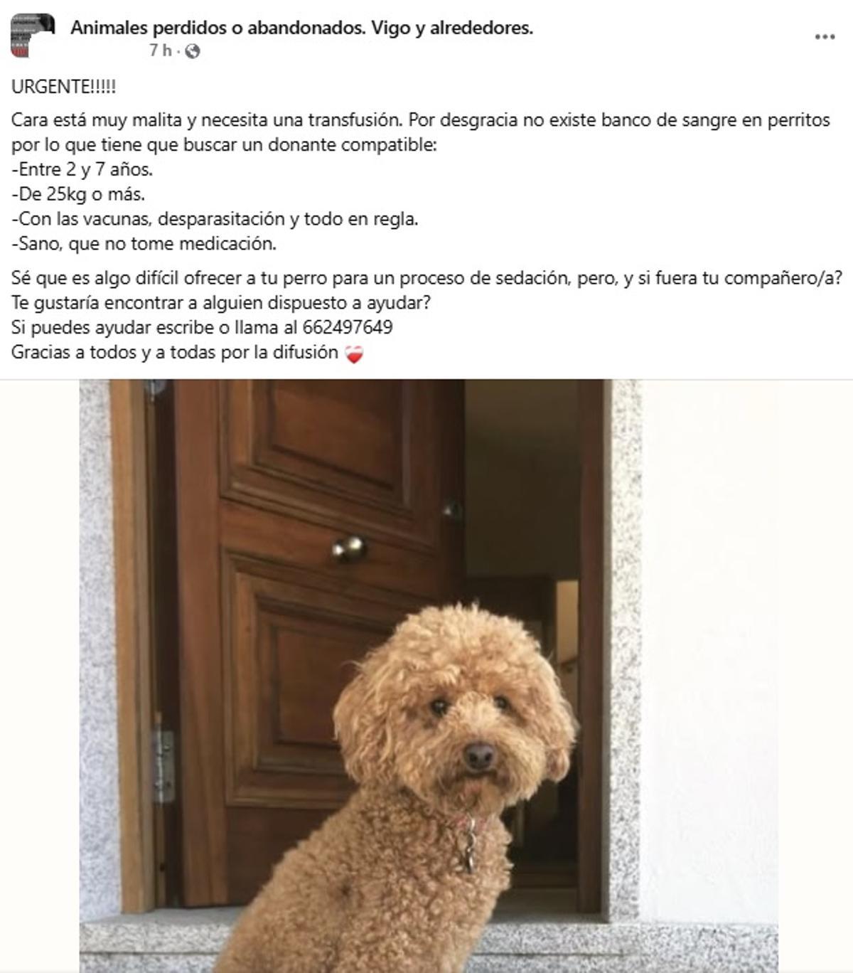 El aviso en redes.