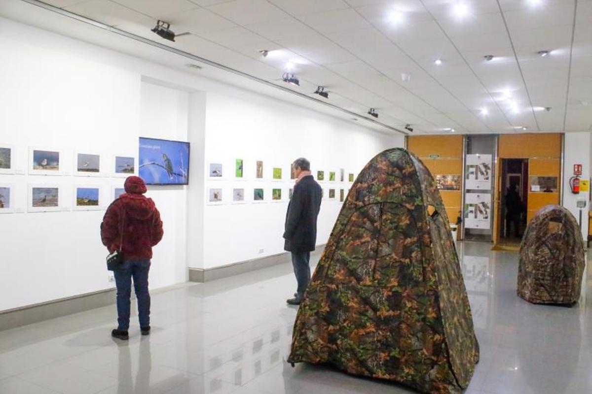 Visitantes en la exposición “Fotonatureza”.   | // IÑAKI ABELLA
