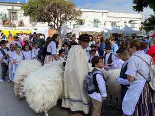 Escolares de Telde celebran el Día de Canarias en la Plaza de San Juan