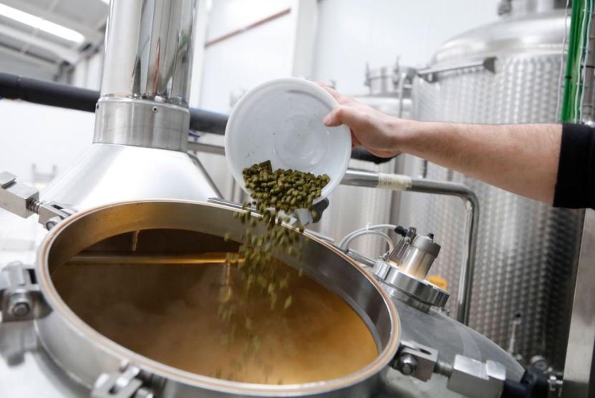 Hinzugabe des Hopfens beim Kochen