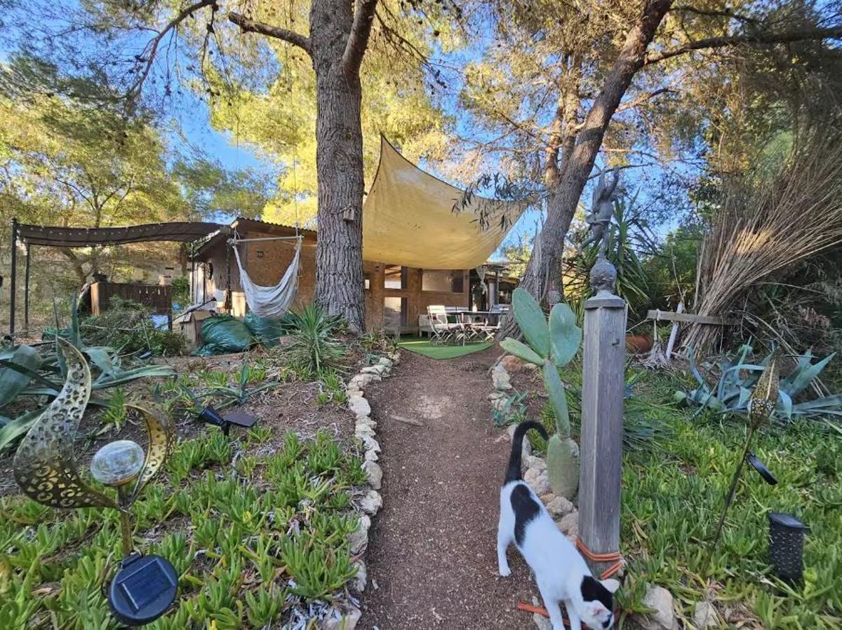Galería: Alquilan una casa de madera en el bosque como vivienda turística en Ibiza