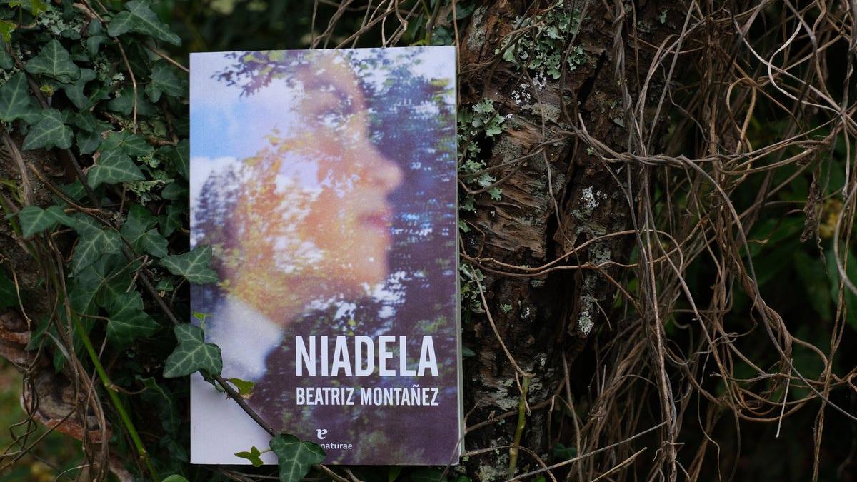 &#039;Niadela&#039;, editada por el sello errata naturae, ha sido una de las revelaciones del año.