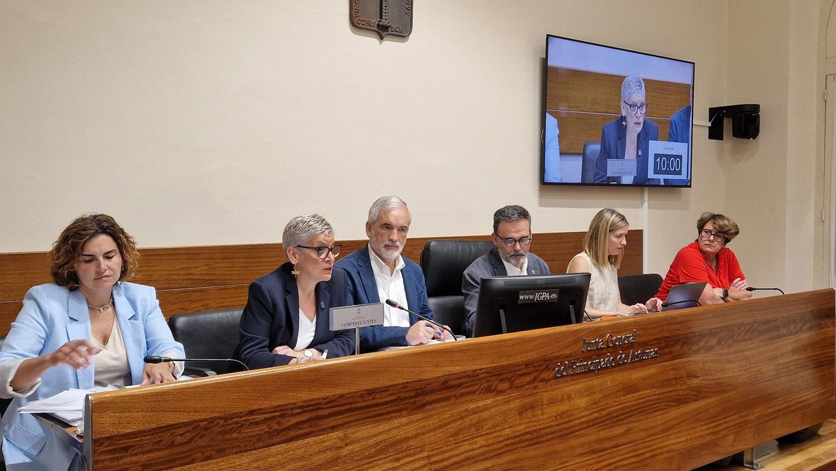 La consejera Concepción Saavedra durante su intervención en la comisión.
