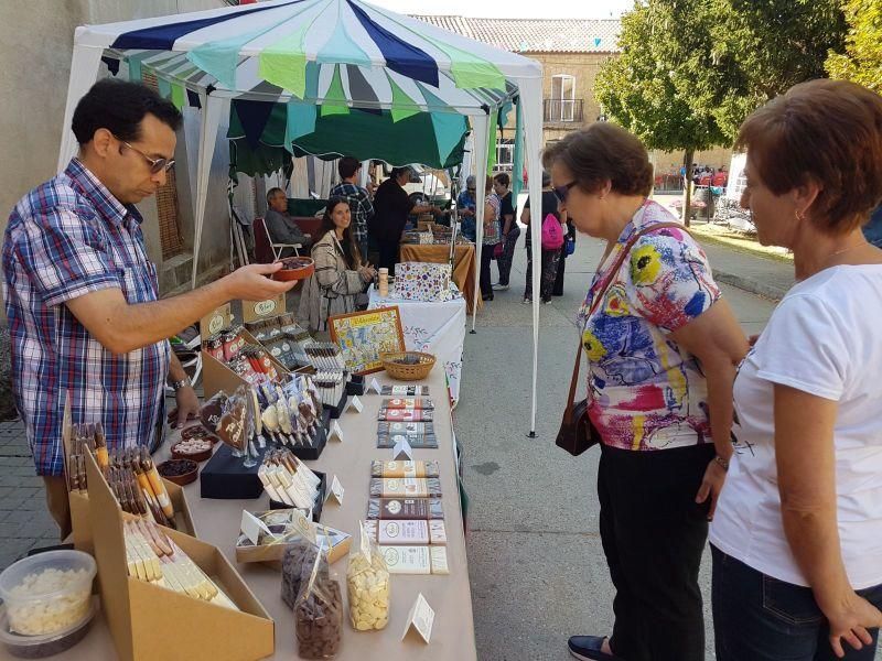 Fiesta de la Vendimia en Venialbo