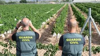 Cultivando la seguridad en los campos de la provincia de Alicante con la Guardia Civil al frente