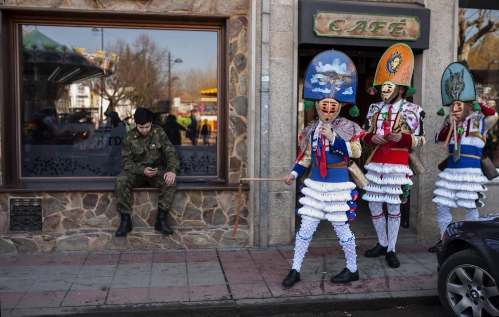 Los cigarrones de Verín, el corredoiro de pantallas de Xinzo y los disfraces de Seixalbo tiñen de humor y color las calles de la provincia