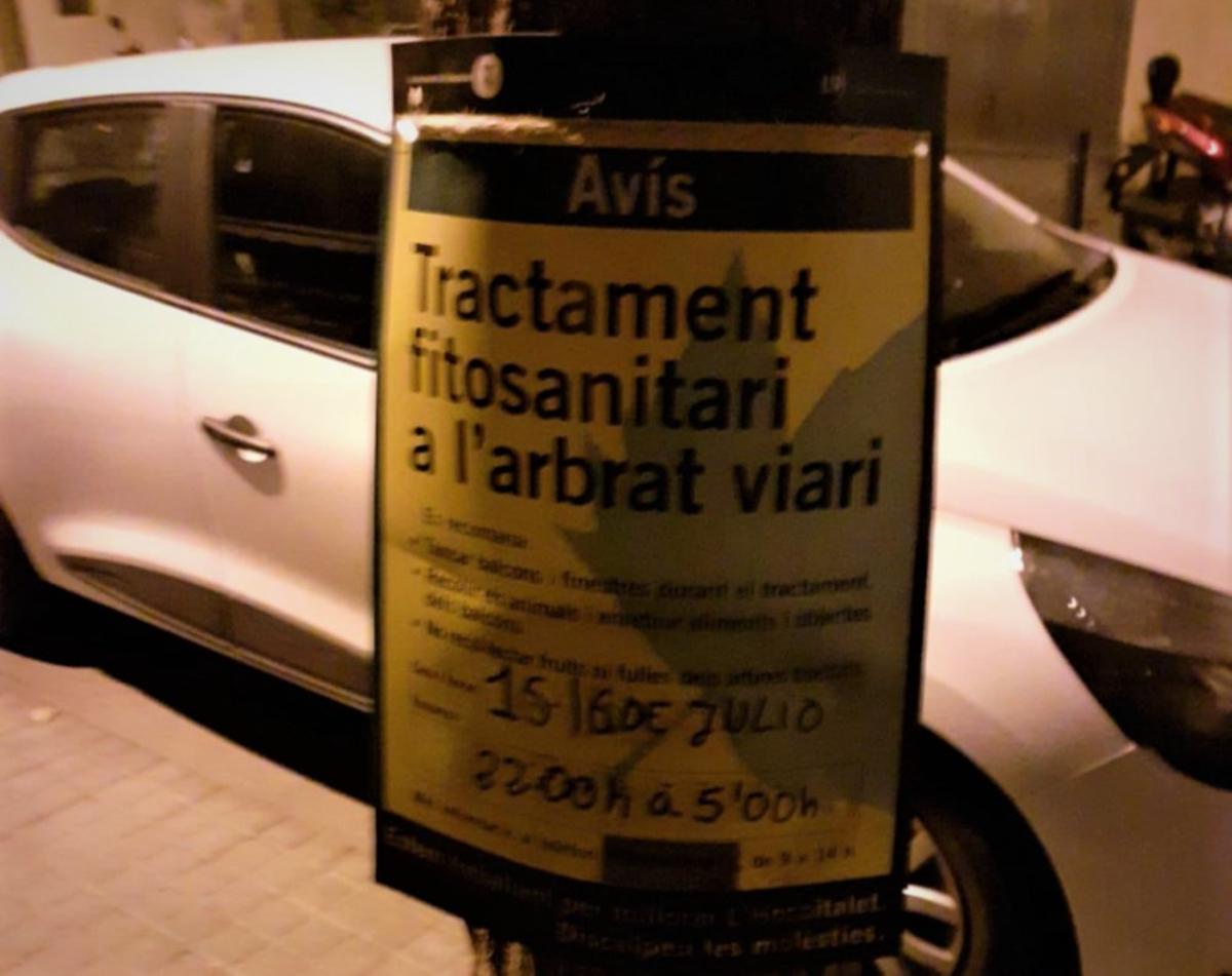 Tratamiento contra el escarabajo del olmo en L'Hospitalet.