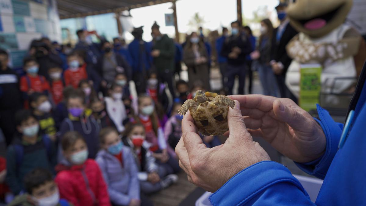 Escolares conocen las amenazas de las tortugas de agua dulce