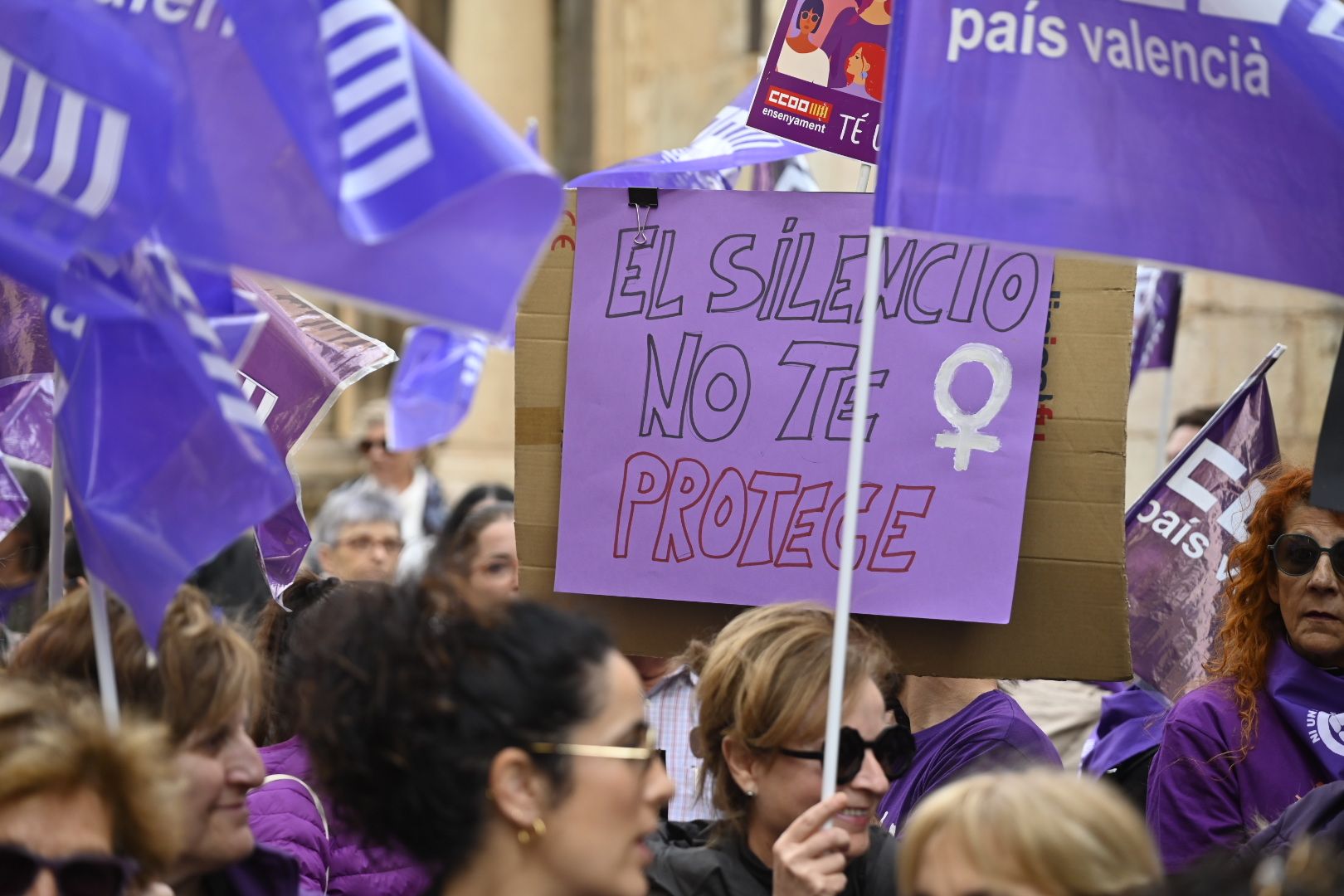 Galería: Castelló se reivindica por el 8M