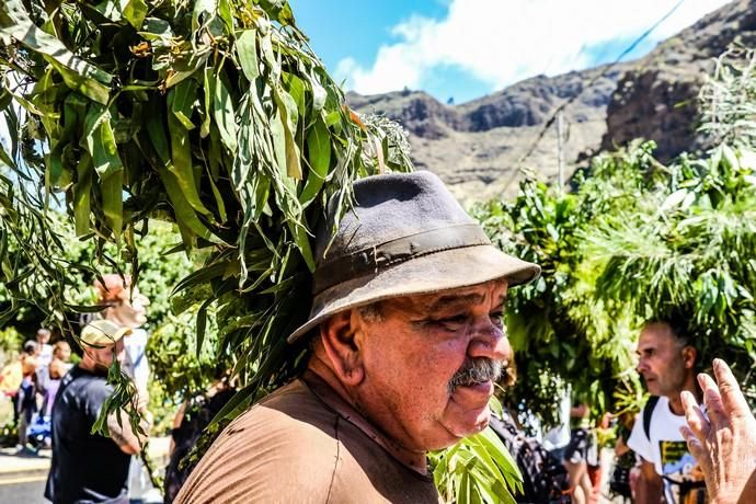 28.06.18. AGAETE.  BAJADA DE LA RAMA, EL VALLE ...