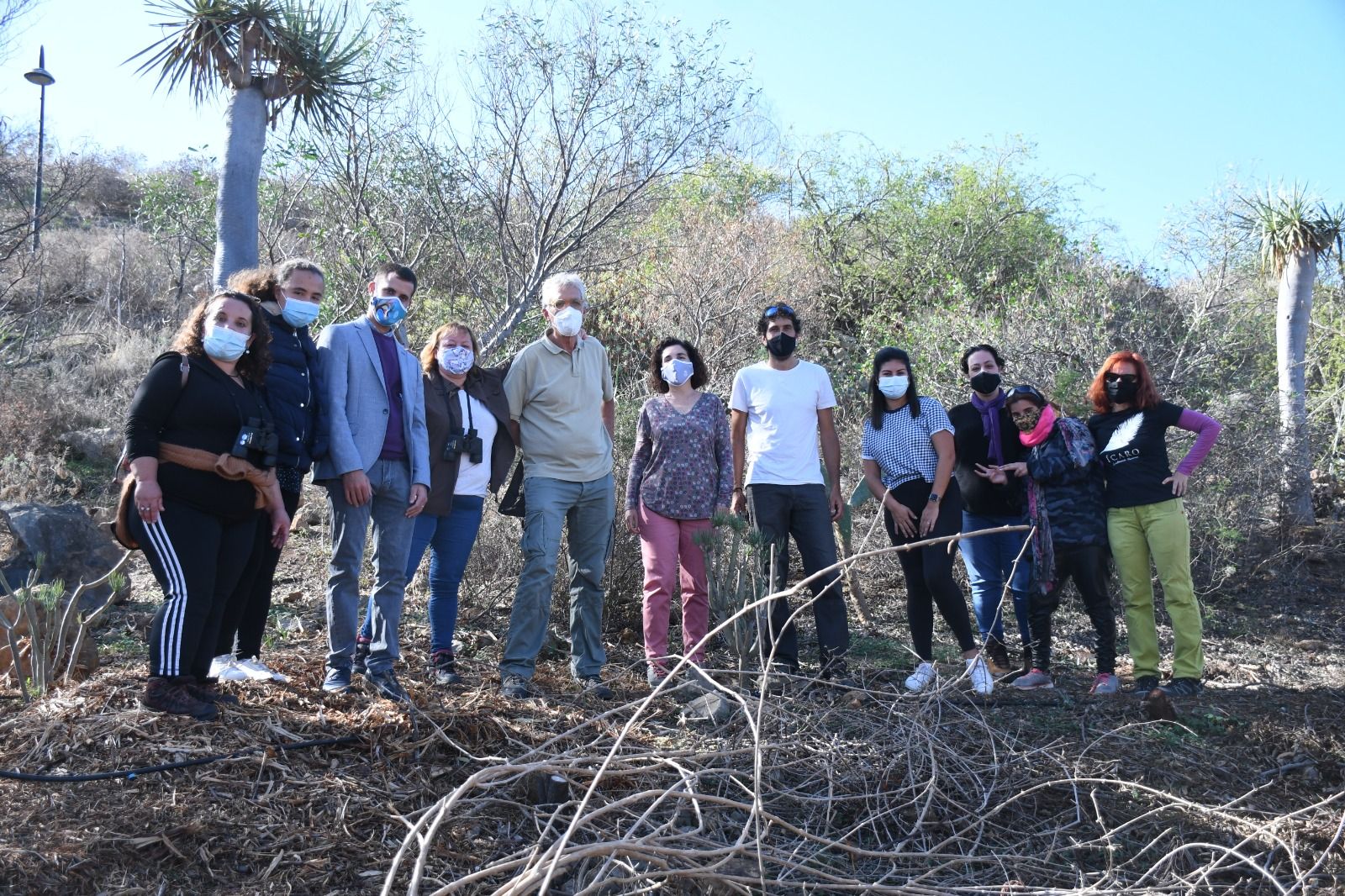 Recuperado el bosque termófilo de La Quinta (Santa Úrsula)