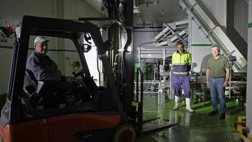 El «cero energético» que casi lleva a la ruina a los frigoríficos gallegos