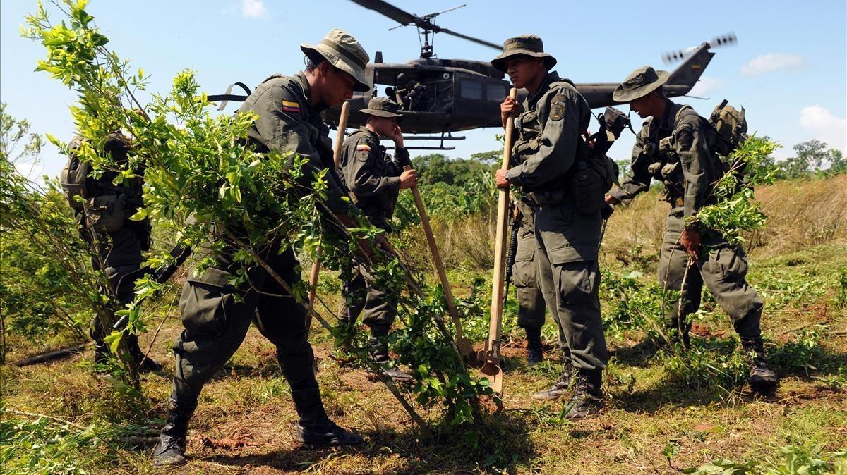 zentauroepp9573615 colombian policemen uproot coca plants at a field in villaga180617183117