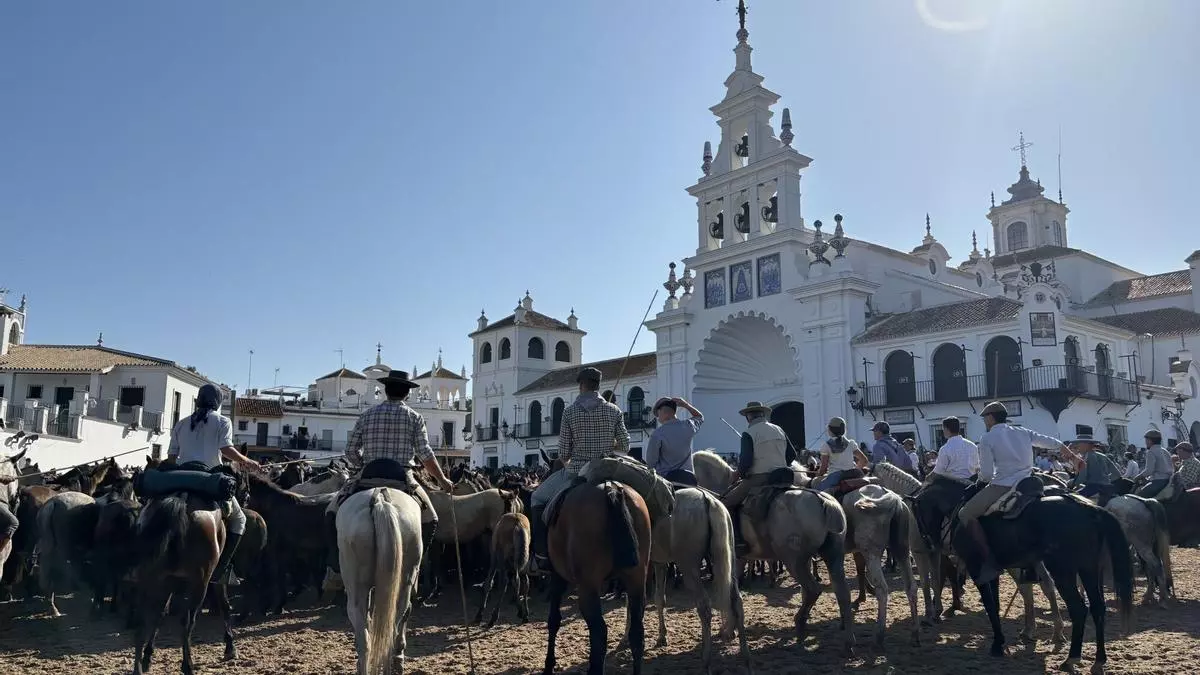 Doñana revela su esencia con la 'Saca de las Yeguas'