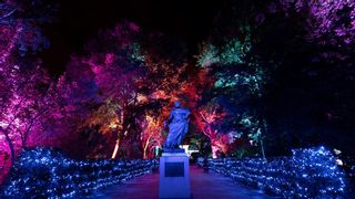 Así será el nuevo espectáculo de luz y sonido del Alcázar: Patios, caballos, flamenco y cultura