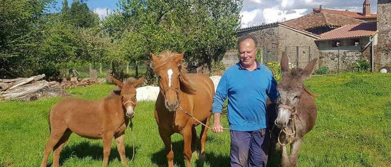 José Manuel Sánchez con la famosa familia animal de Poreñu: &quot;Luna&quot; y sus padres la yegua &quot;Estela&quot; y el burro &quot;Tito&quot;.