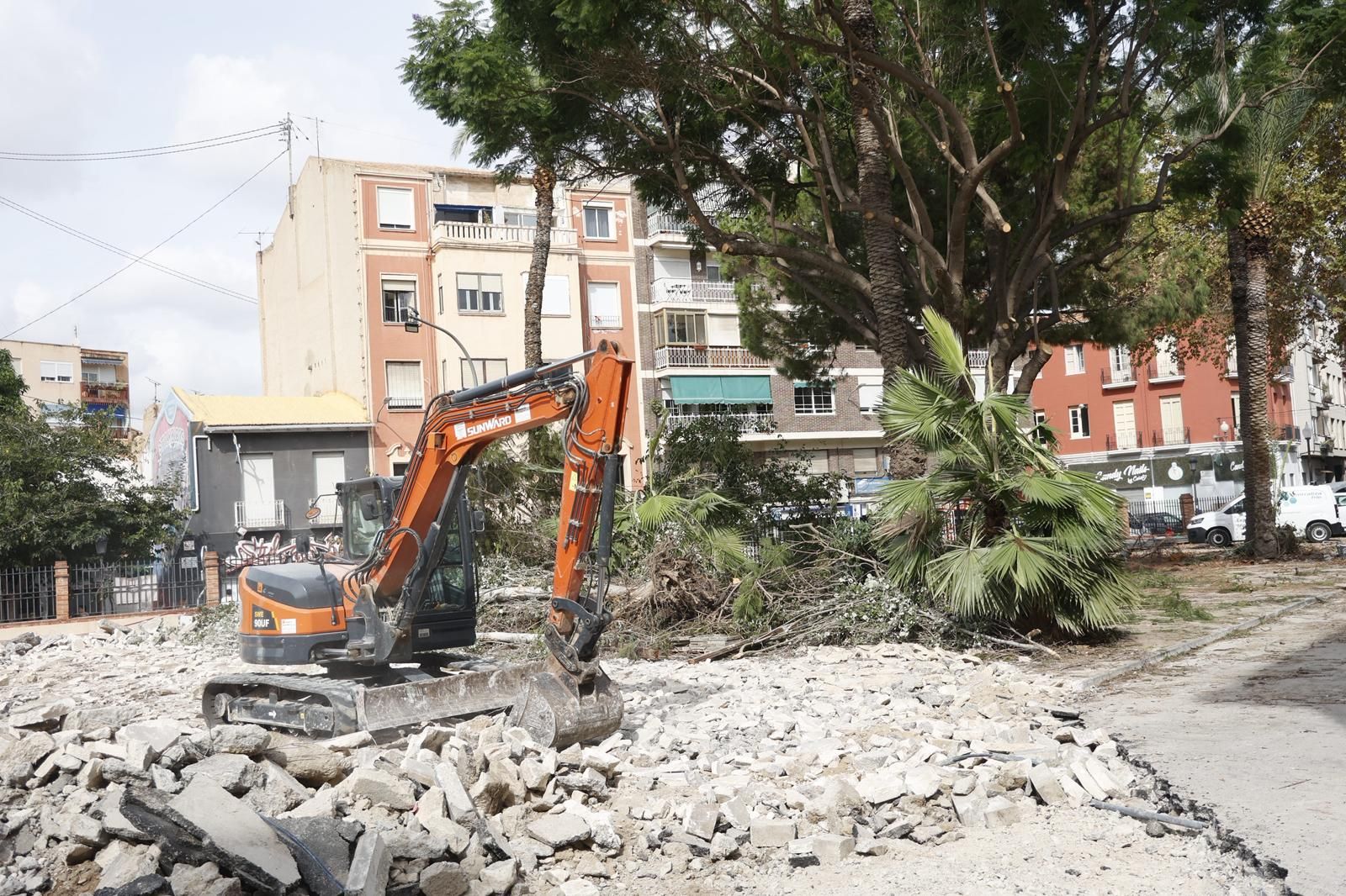 Una nueva tala de árboles en Alicante desata la polémica