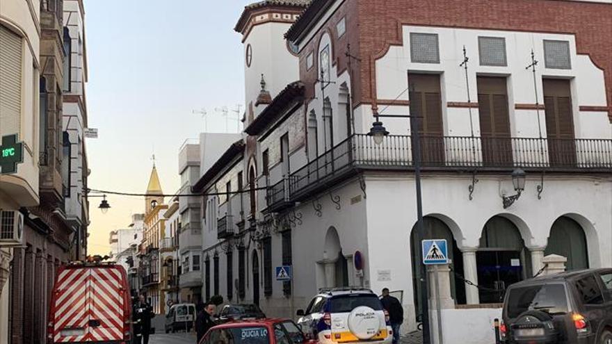 Una ordenanza municipal prohíbe la cría de palomas en el casco urbano -  Diario Córdoba