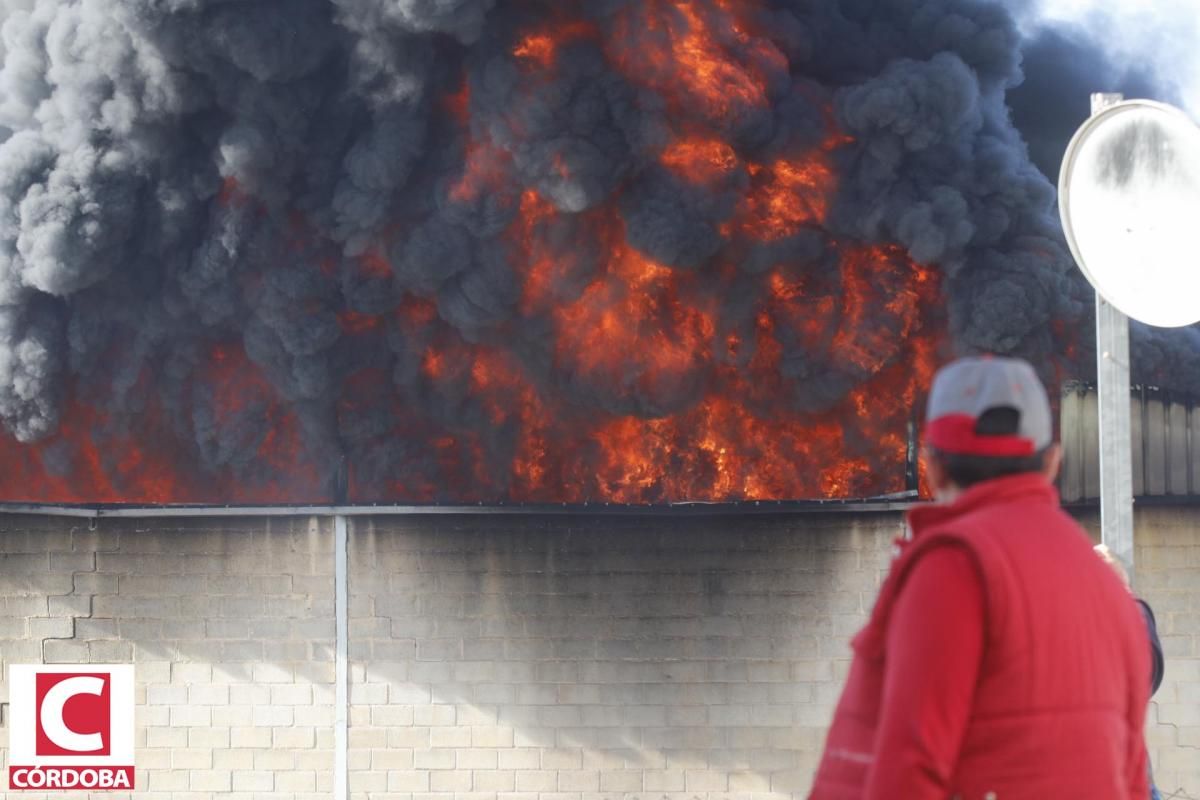 Fotogalería / Incendio en las Quemadas