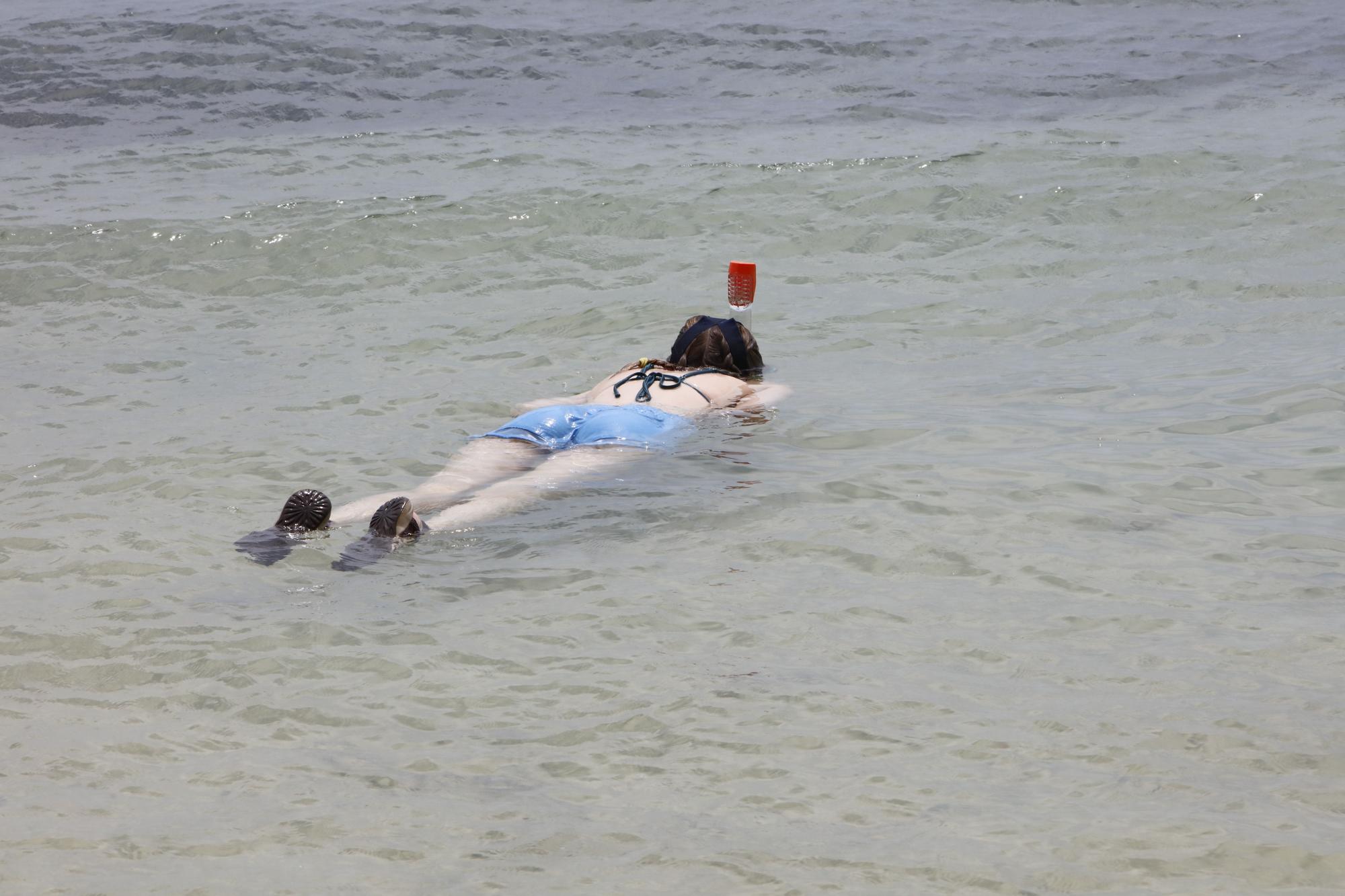 Ausflug nach Port de Pollença – der entspannte Urlaubsort im Norden von Mallorca