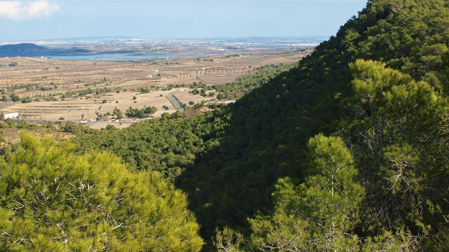 Orihuela apuesta por un Centro de Interpretación de Sierra Escalona que ya propusieron los ecologistas hace cuatro años