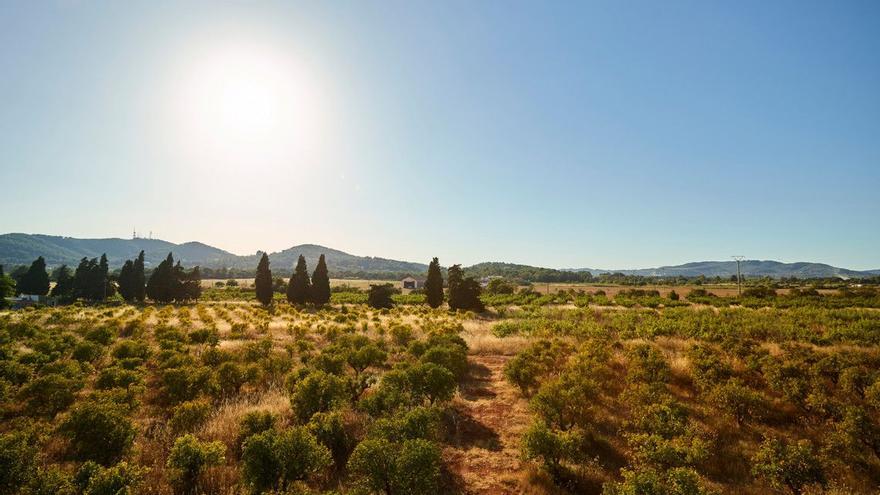 El dj Calvin Harris compra una finca de 56 hectáreas en Ibiza
