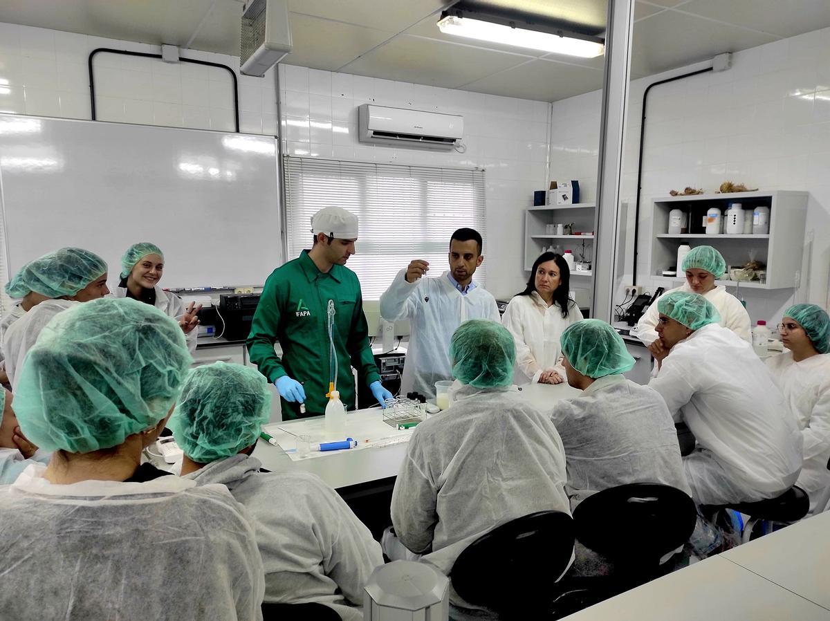 La Junta abre las inscripciones del curso Maestro Quesero 4.0 para impulsar la elaboración de quesos y nuevas empresas lácteas.