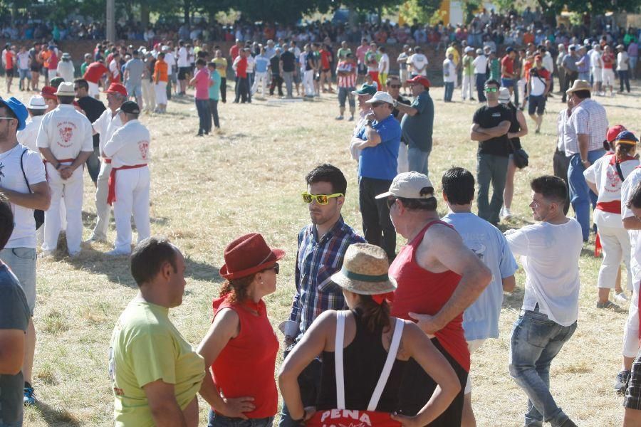 Fiestas en Zamora: Segudos espantes de Fuentesaúco