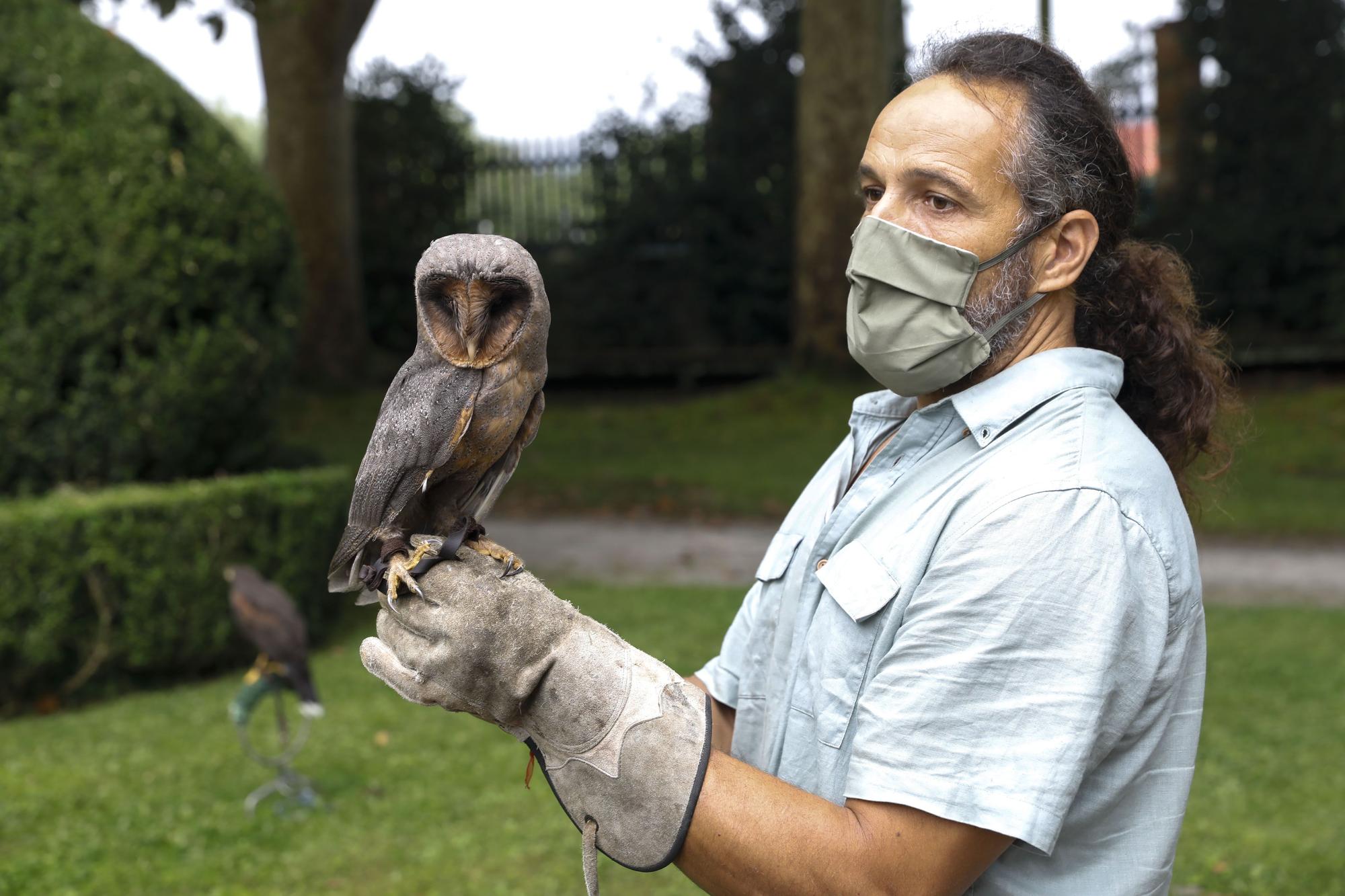 Los vuelos nocturnos de los búhos vuelven al Botánico de Gijón