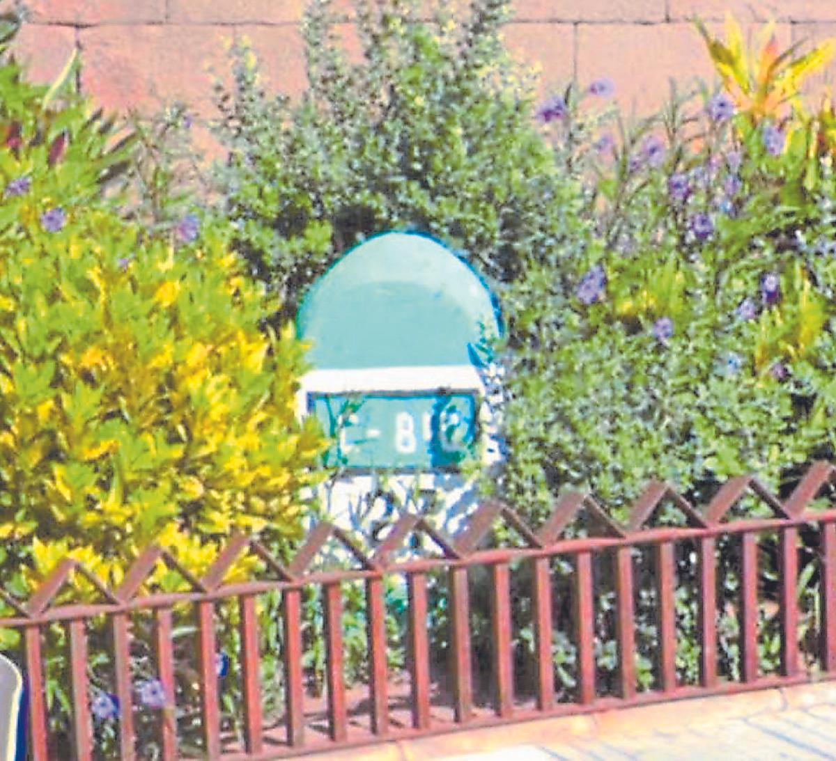 Señal oculta entre plantas decorativas en un parterre.